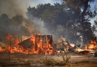 Los incendios en Chile dejan ya 16 fallecidos: bomberos intentan apagar 80 focos activos
