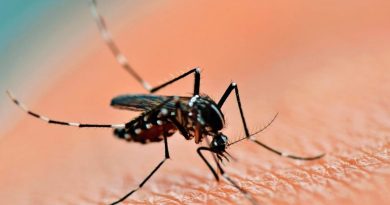 Dos personas muertas por dengue en Córdoba