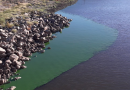 Persisten las algas en el dique Paso de Las Piedras