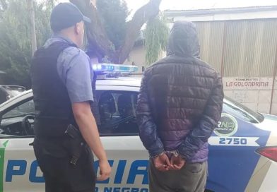 Un joven de Bahía Blanca era buscado en Bariloche por robo y lo capturaron en El Bolsón