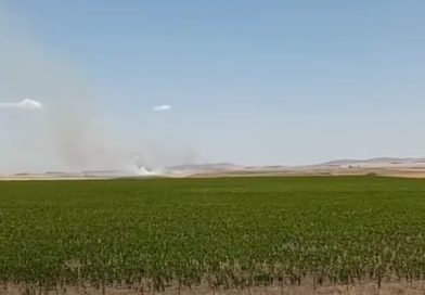 Dique Paso de las Piedras: varias dotaciones de bomberos combatían un incendio