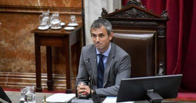 Martín Menem ratificó que el Gobierno bajará la edad de imputabilidad