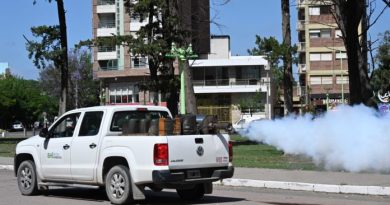 Cronograma de fumigacion