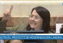 Una senadora libertaria lamentó no “haber ido mucho más allá” con la reforma laboral