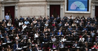 Diputados aprobó bajar la punibilidad de 16 a 14 años