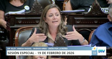 “A esta ley también la está atravesando una Banelco”, dijo diputada sobre la reforma laboral