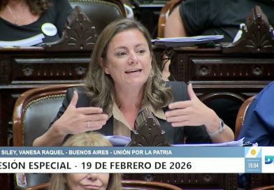 “A esta ley también la está atravesando una Banelco”, dijo diputada sobre la reforma laboral