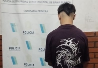 Aprehenden a un joven tras resistirse a un control policial
