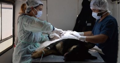 Realizarán una jornada de vacunación antirrábica en una plaza de Bahía Blanca