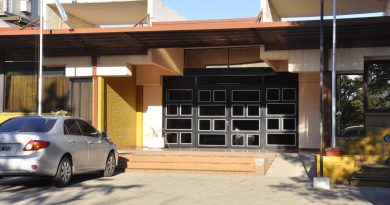 Absolvieron a una mujer por “maltrato animal”: no alimenta a su caballo por no tener recursos