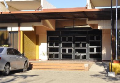 Absolvieron a una mujer por “maltrato animal”: no alimenta a su caballo por no tener recursos