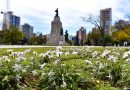 Aniversario de Bahía Blanca: la plaza Rivadavia se convertirá en “Plaza Viva”