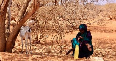 Los efectos de las olas de calor en la agricultura amenazan a mil millones de personas