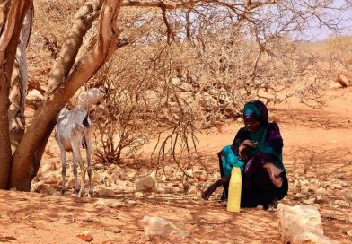 Los efectos de las olas de calor en la agricultura amenazan a mil millones de personas