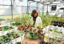 Una bioquímica argentina premiada por su trabajo en cultivos resistentes a la sequía