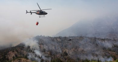 Los peores incendios en seis décadas arrasaron 60.000 hectáreas en la Patagonia