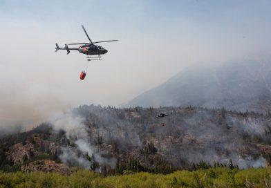 Los peores incendios en seis décadas arrasaron 60.000 hectáreas en la Patagonia
