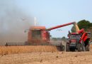 Argentina logra una cosecha récord en la campaña agrícola 2025/2026