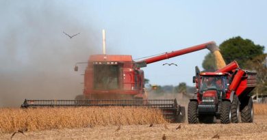 Argentina logra una cosecha récord en la campaña agrícola 2025/2026
