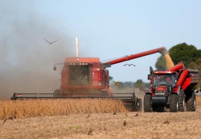 Argentina logra una cosecha récord en la campaña agrícola 2025/2026