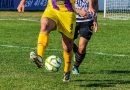 La Liga del Sur confirmó cómo se jugarán los partidos de Primera División