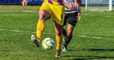 La Liga del Sur confirmó cómo se jugarán los partidos de Primera División