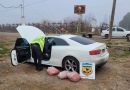 Decomisaron 60 kilos de carne picada que eran transportados sin condiciones sanitarias en la ruta 22