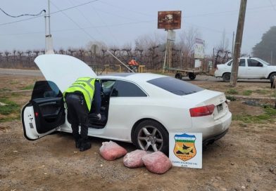 Decomisaron 60 kilos de carne picada que eran transportados sin condiciones sanitarias en la ruta 22