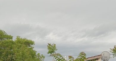 Tres días con alerta amarillo por viento en Bahía Blanca