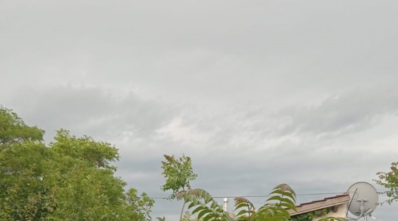 Tres días con alerta amarillo por viento en Bahía Blanca