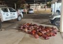 La Pampa: secuestraron casi 400 kilos de carne equina dentro de un Toyota Etios