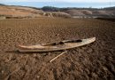 Llega al 90% probabilidad de que fenómeno de El Niño vuelva este año y puede ser fuerte