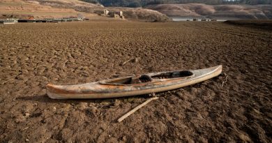 Llega al 90% probabilidad de que fenómeno de El Niño vuelva este año y puede ser fuerte