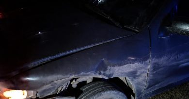 Ascasubi: un auto chocó contra un jabalí en la ruta 3