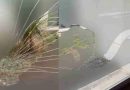 Un adolescente astilló un vidrio del hospital municipal de Tres Arroyos tras un altercado familiar