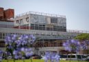Por primera vez en el Hospital Garrahan, dos gemelas fueron trasplantadas en simultáneo