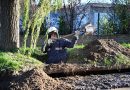 El Municipio avanza con la limpieza  de un pluvial clave de la zona norte de Bahía Blanca