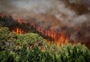 Incendios en el sur de Europa obligan a evacuar a miles de personas