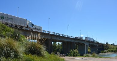Vialidad Nacional volverá a inspeccionar el puente La Adela-Río Colorado