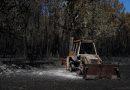 Los incendios en España evolucionan “favorablemente”, pero preocupa la nueva ola de calor