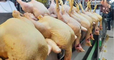 Argentina logra aval sanitario para volver a exportar carne aviar a la Unión Europea