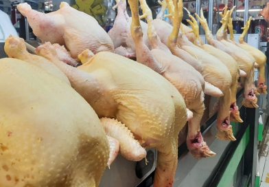 Argentina logra aval sanitario para volver a exportar carne aviar a la Unión Europea