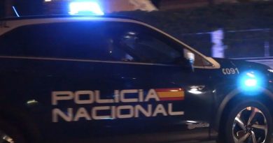 Detenida una aficionada argentina por agredir a una policía en la celebración del Mundial