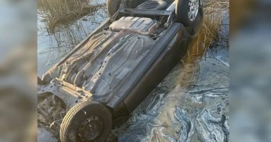 Hallan a una mujer fallecida en un auto sumergido en la ruta 65 y rescatan con vida a su gato