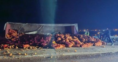 Volcó un acoplado cargado con cebollas en la ruta 35