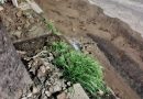 Realizan trabajos en cañerías de agua que afectan a varios usuarios