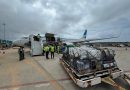 Aerolíneas Argentinas mejora su patrimonio pese a menor ganancia neta en 2025