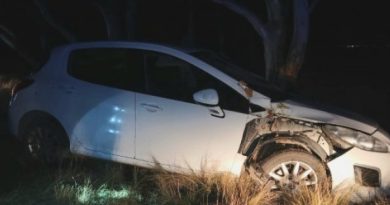 Una pareja sufrió un vuelco en la ruta 3 por intentar esquivar un perro