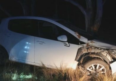 Una pareja sufrió un vuelco en la ruta 3 por intentar esquivar un perro
