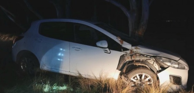 Una pareja sufrió un vuelco en la ruta 3 por intentar esquivar un perro